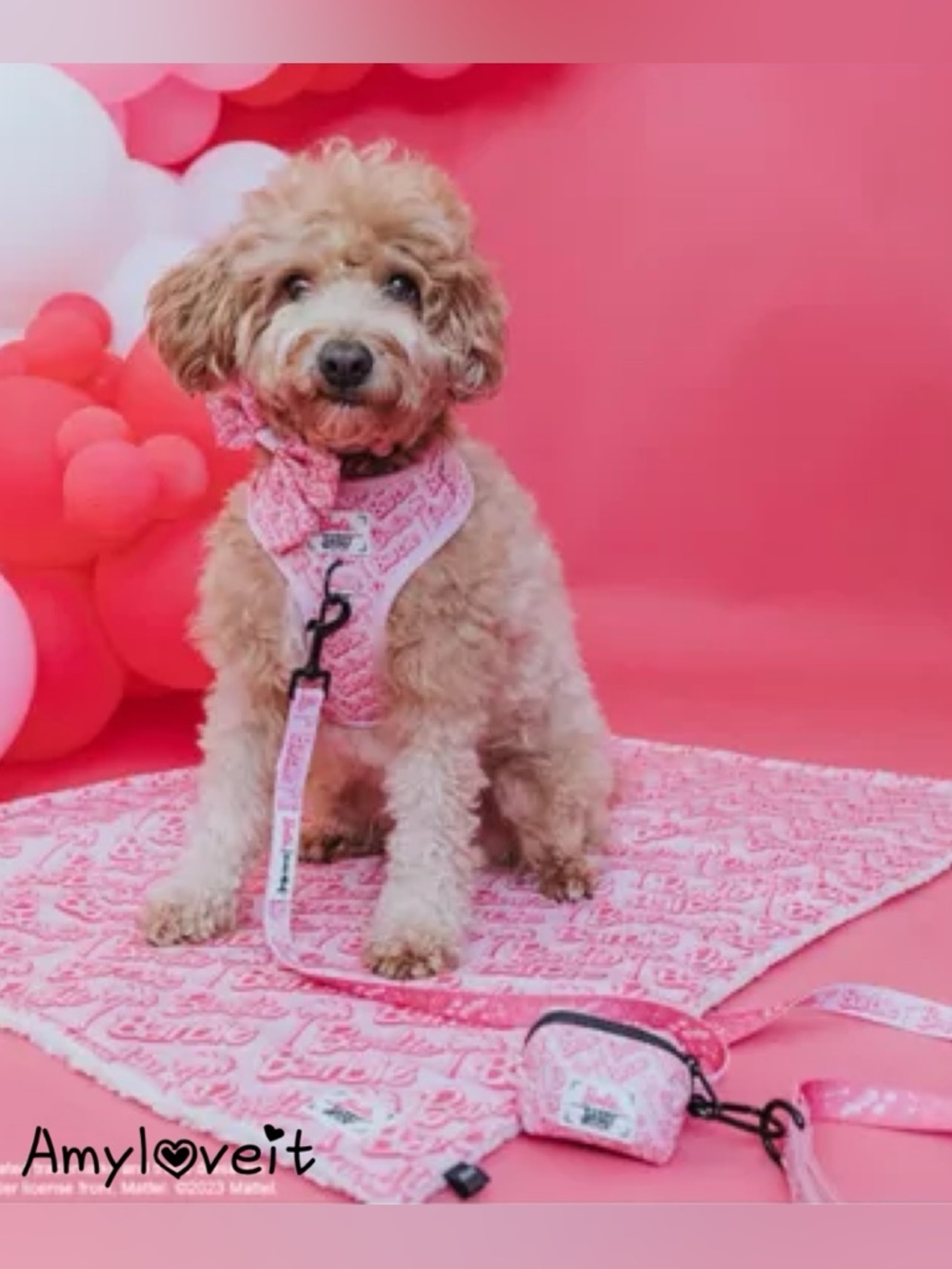 Barbie x Sassy Woof Leash & Waste Bag Holder Set #97
